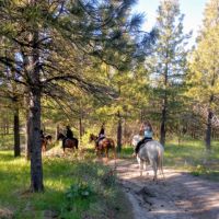 Chelan Mountain View Ranch ico