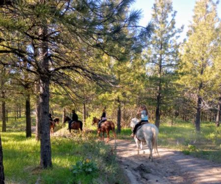 Chelan Mountain View Ranch