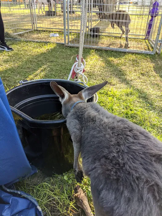 Applegrove Mobile Home Community Picture 2