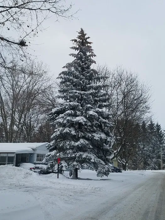 Lakewood Village Picture 3