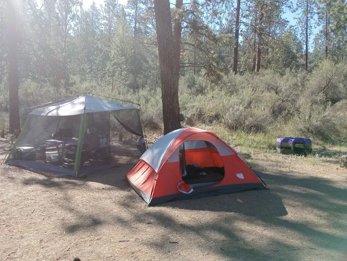 Jones Bay Campground Picture 7