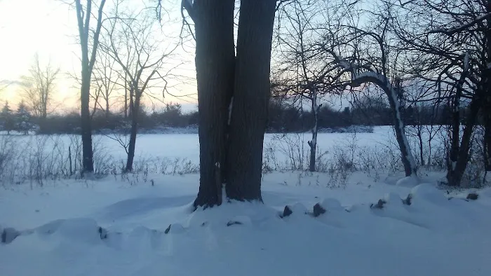 Applewood Mobile Home Estate Picture 1