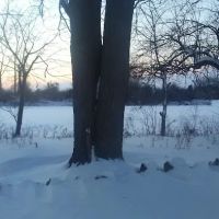 Applewood Mobile Home Estate ico