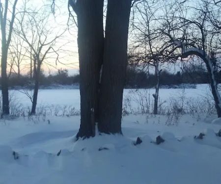 Applewood Mobile Home Estate