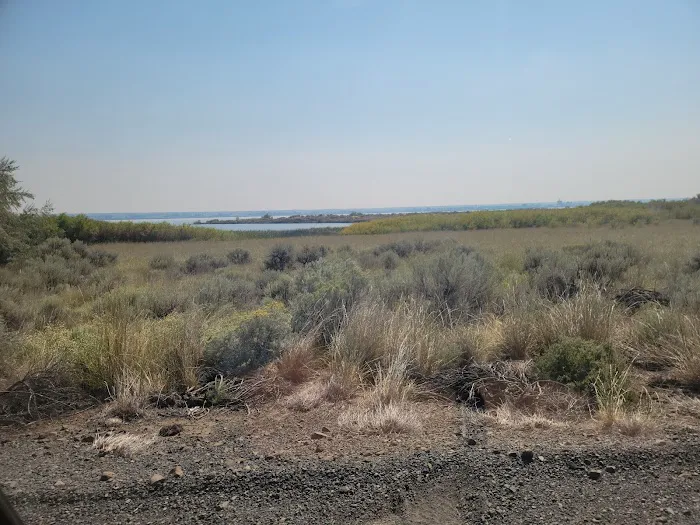 Ankeny #1 WDF Camp Area Picture 3