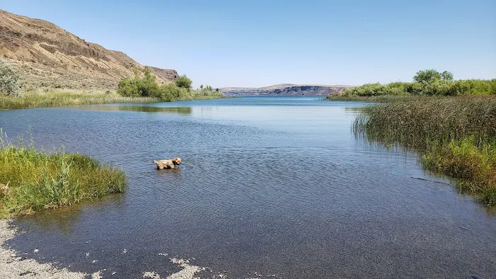 Ankeny #1 WDF Camp Area Picture 6
