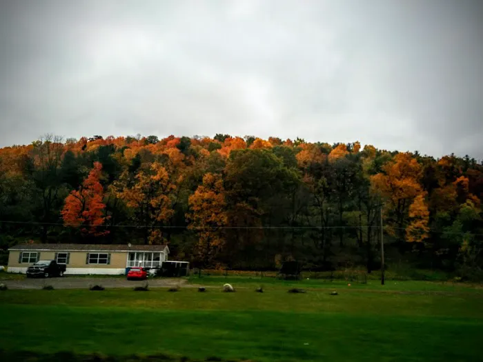 Meadows Park Trailer Park Picture 1