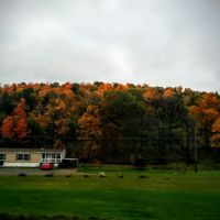 Meadows Park Trailer Park ico