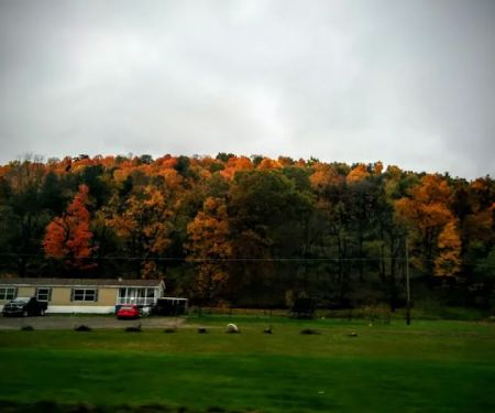 Meadows Park Trailer Park