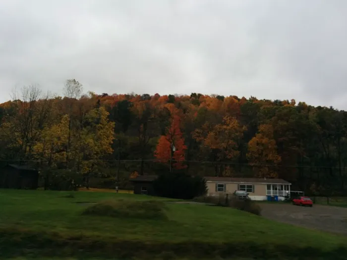 Meadows Park Trailer Park Picture 2