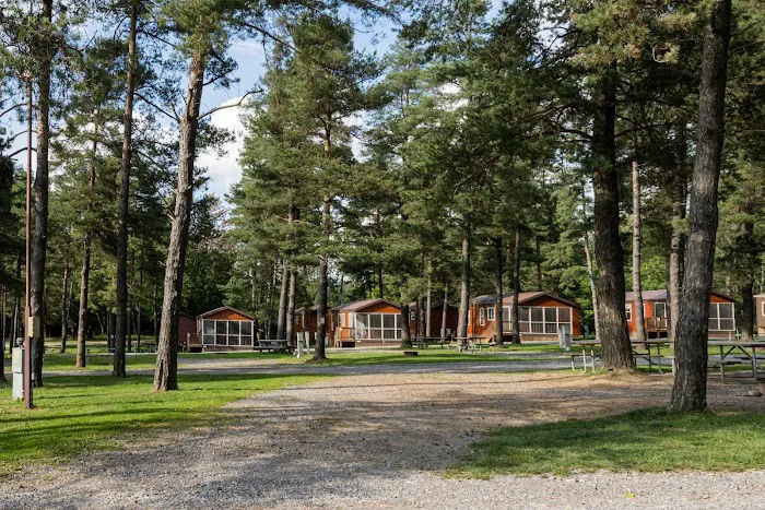 Jellystone Park™ Western New York Picture 8