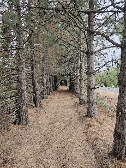 End of the Road Adventures Picture 8