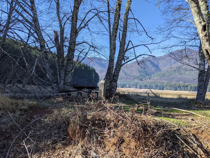 Piety Island Campground Picture 9