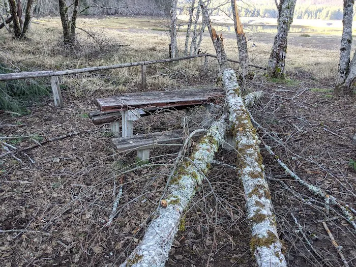 Piety Island Campground Picture 4