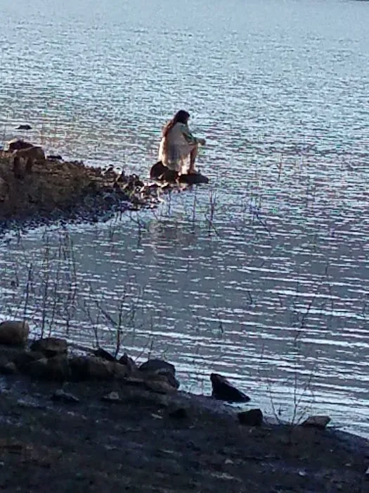 Southshore on Detroit Lake Picture 6