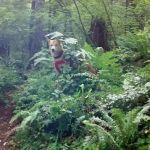 Cove Creek Campground