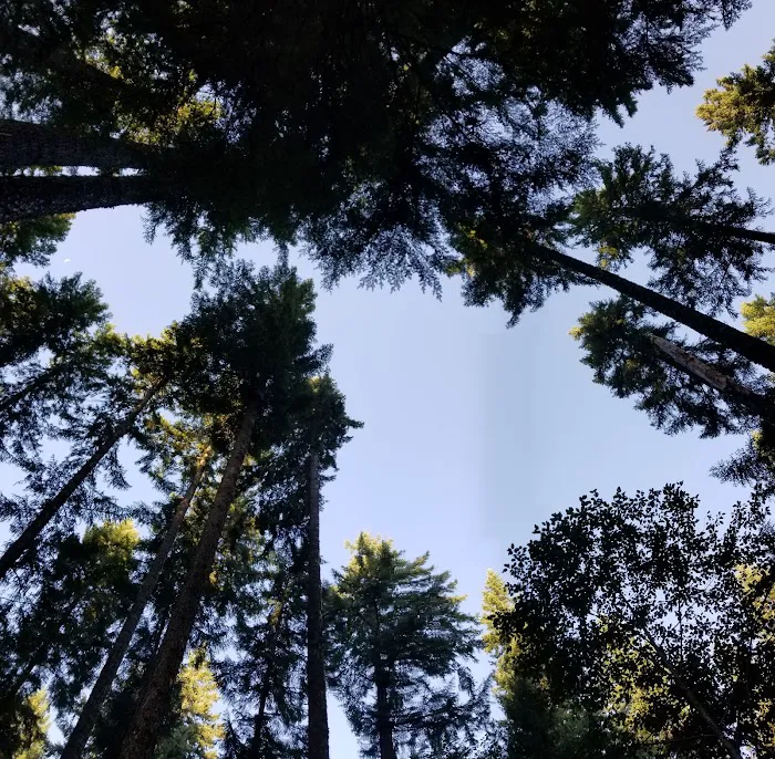 Cove Creek Campground Picture 9