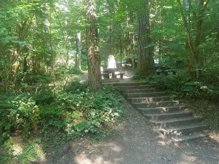 Cove Creek Campground Picture 8