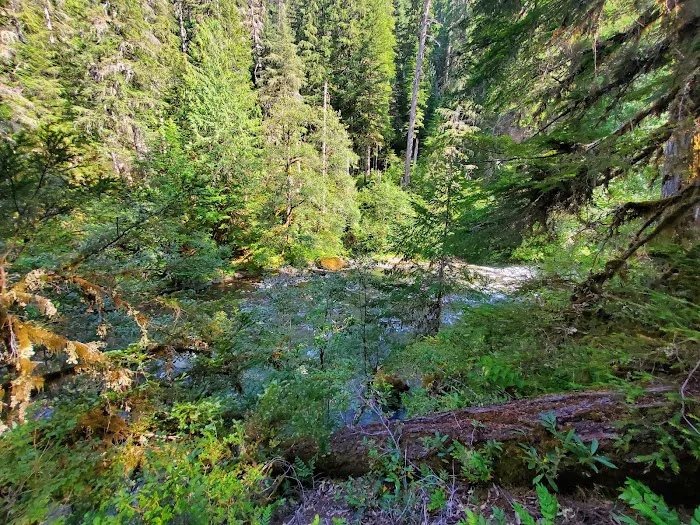 Humbug Campground Picture 6