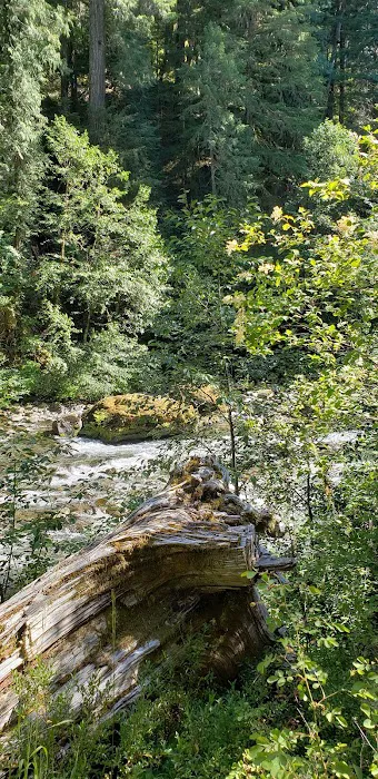 Humbug Campground Picture 7