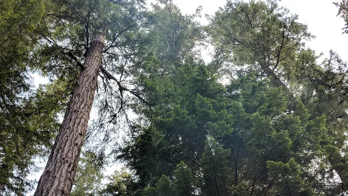 Humbug Campground Picture 5