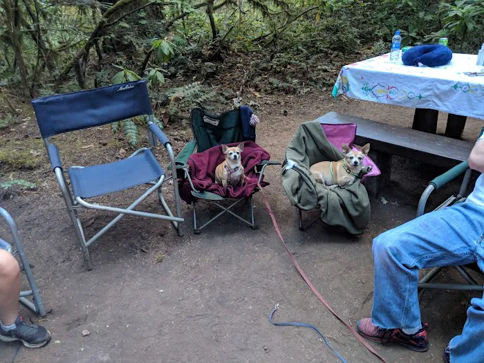 Humbug Campground Picture 9