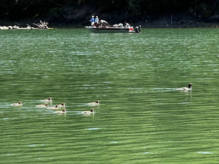 Hoover Campground Picture 4