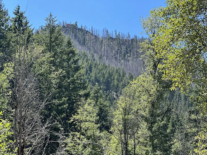 Hoover Campground Picture 8