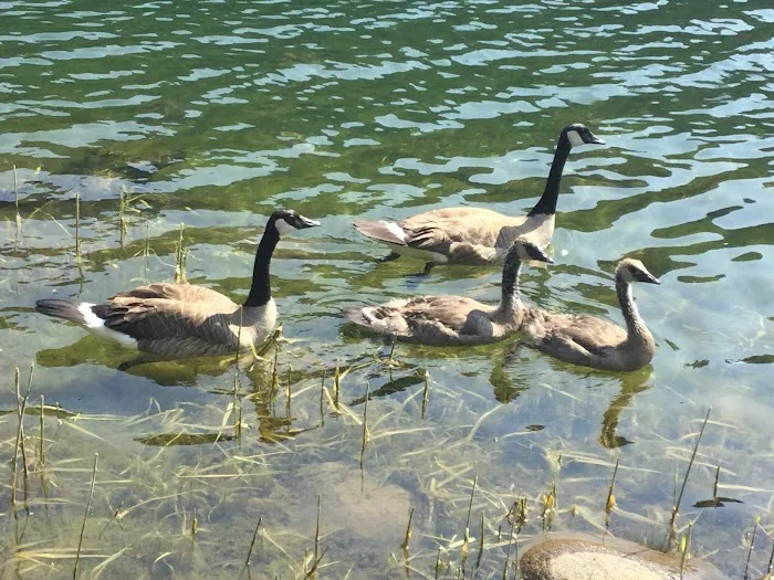 Hoover Campground Picture 5