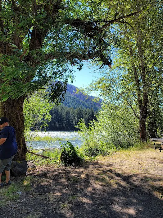 Santiam Flats Campground Picture 10