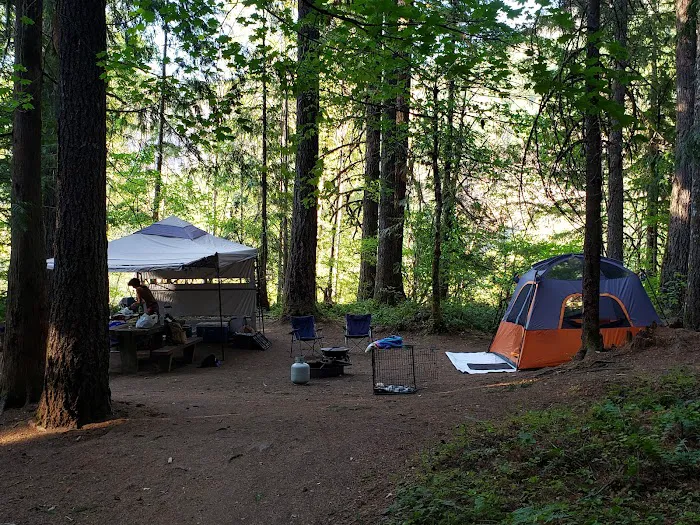 Santiam Flats Campground Picture 2