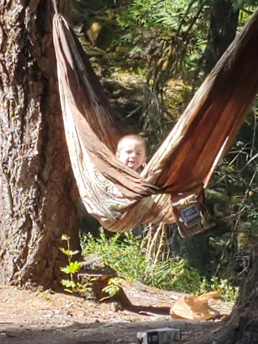 Scorpion Creek Campsite Picture 2