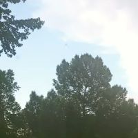 Boone's Mobile Estates Inc ico