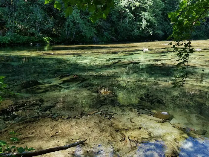 OLD MINERS MEADOW GROUP USE Picture 4