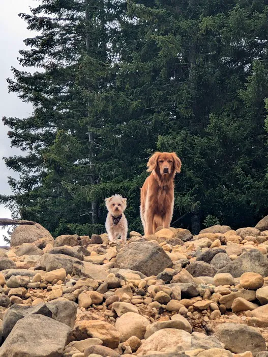 Whitcomb Creek County Park Campground - Boat in Picture 4
