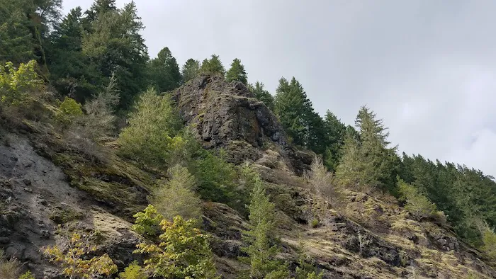 Whitcomb Creek County Park Picture 6