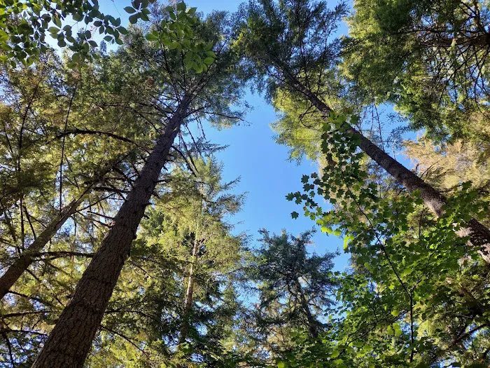 Whitcomb Creek County Park Picture 9