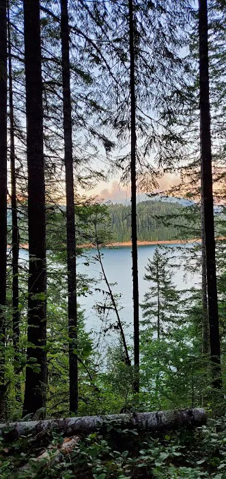 Whitcomb Creek County Park Picture 3