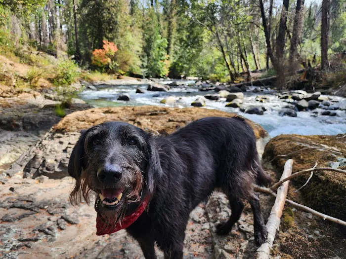 Cleator Bend Campground Picture 1
