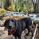 Cleator Bend Campground