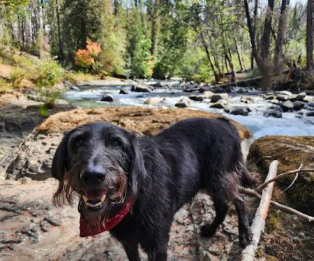 Cleator Bend Campground