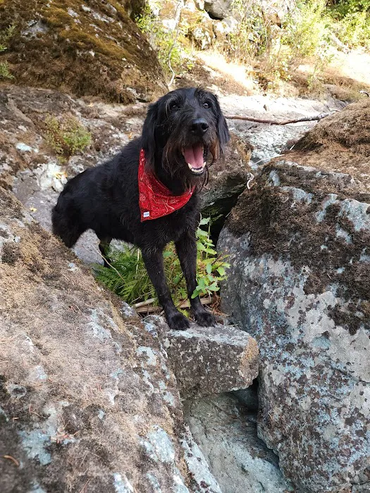 Cleator Bend Campground Picture 3