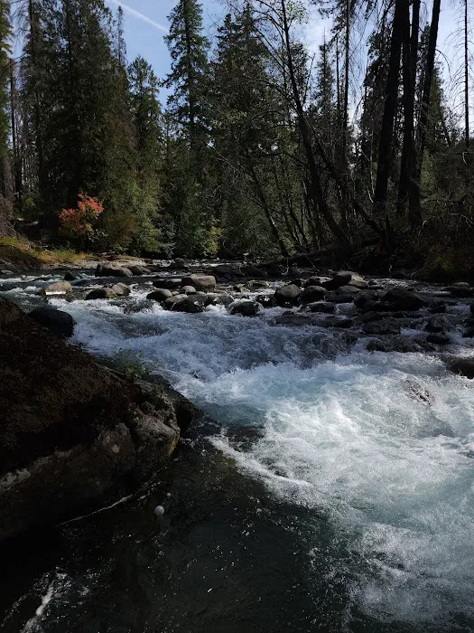 Cleator Bend Campground Picture 5