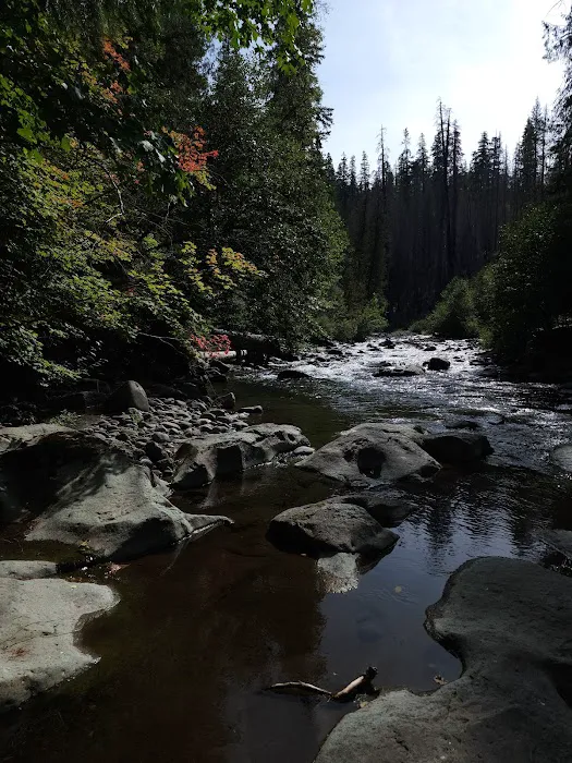 Cleator Bend Campground Picture 4