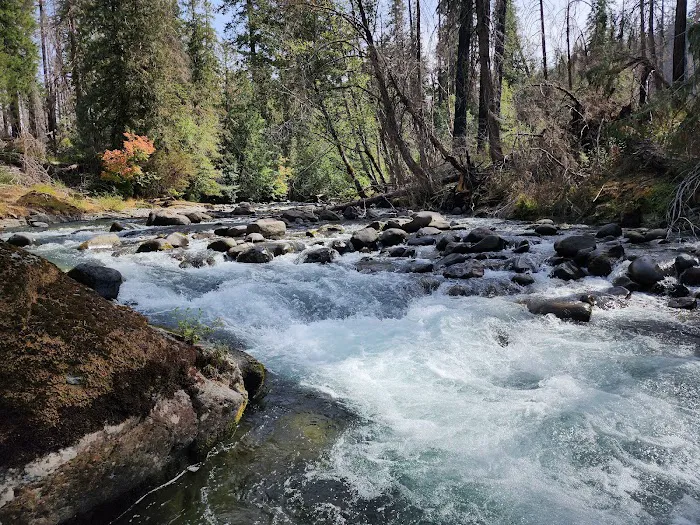 Cleator Bend Campground Picture 2
