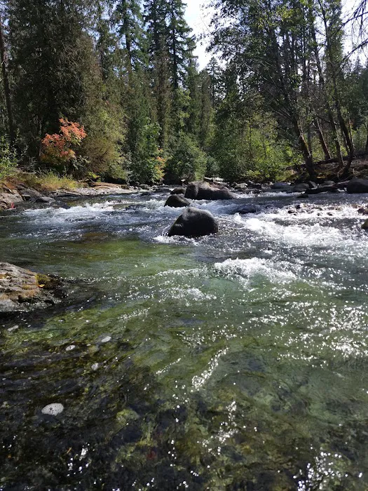 Cleator Bend Campground Picture 6