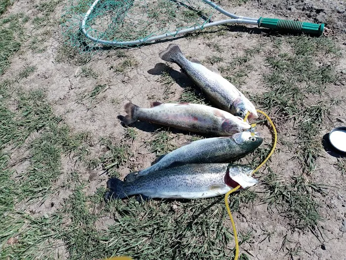 Breitenbush Campground Picture 1