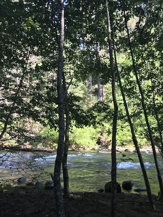 Breitenbush Campground Picture 4