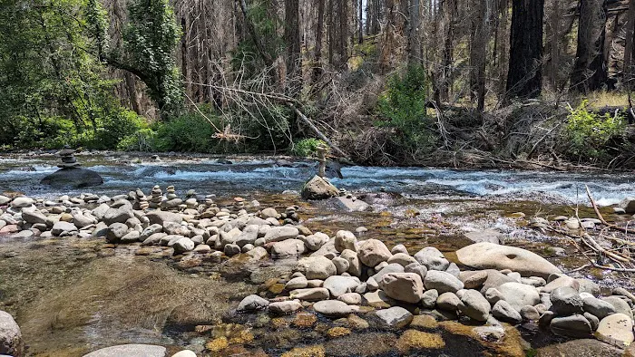 Breitenbush Campground Picture 6
