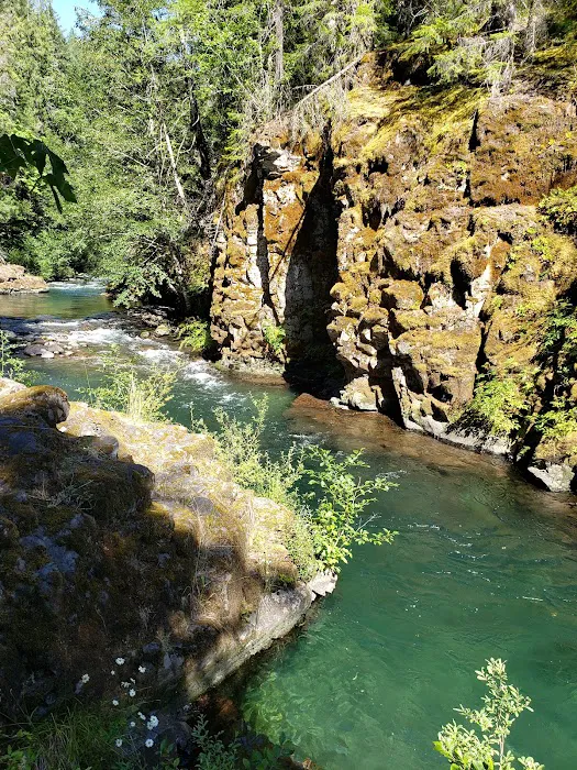 Breitenbush Campground Picture 7